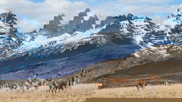 34 Day Captain Drake's Crossroads (Oceania)