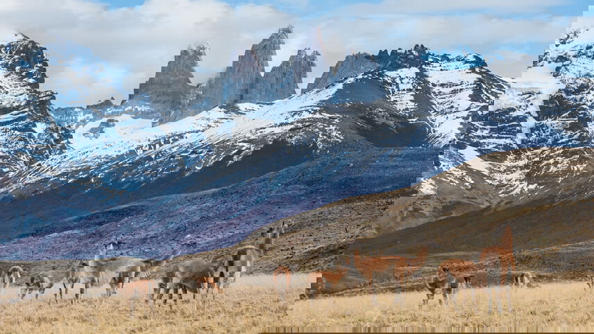 Cape Horn & Glaciers of Patagonia