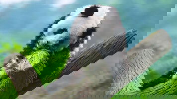 14 Day From China to Laos: Exploring the Ancient Tea Horse Road (Crooked Compass)