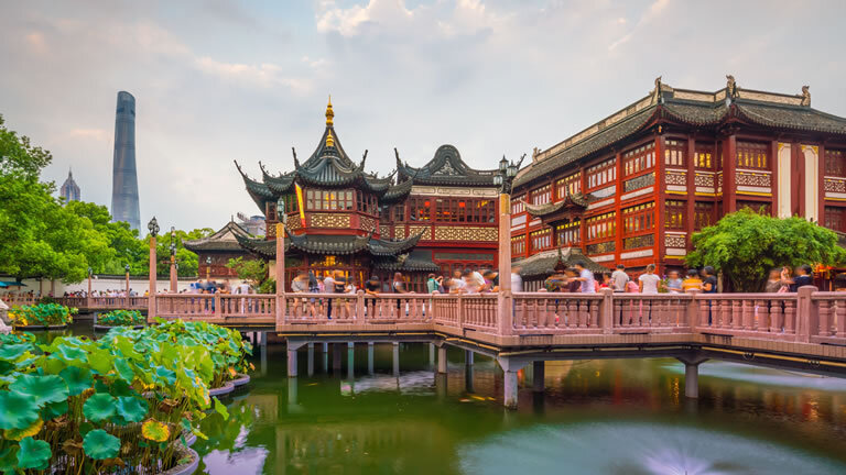 Sakura Season Highlights