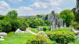 Stone Forest