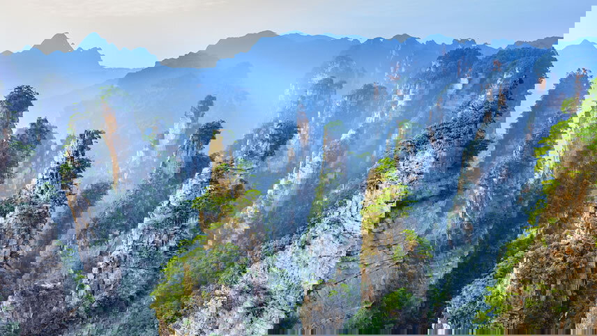 Natural Treasures of China