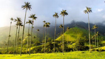 11 Day Treasures of Colombia (Cox & Kings)