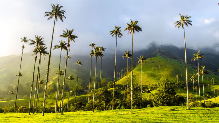 Treasures of Colombia