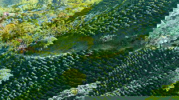 Colombia Tours Tours