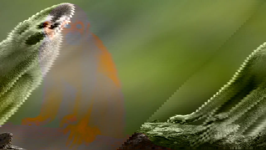 Costa Rica Nature Adventure