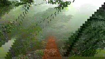 16 Day Costa Rica Adventure (G Adventures)