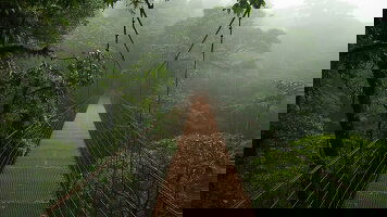 8 Day Costa Rica Nature Adventure (Trafalgar)