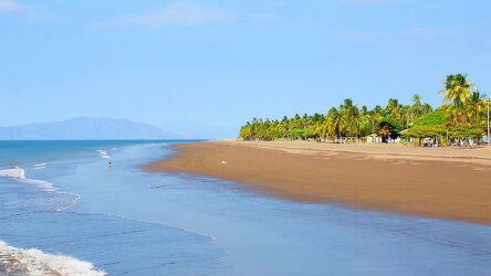 20 Day Panama Canal (Holland America)