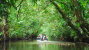 Tortuguero National Park