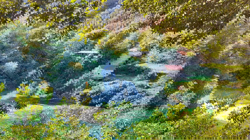 Tastes of Italy with Adriatic Coastal Cruise