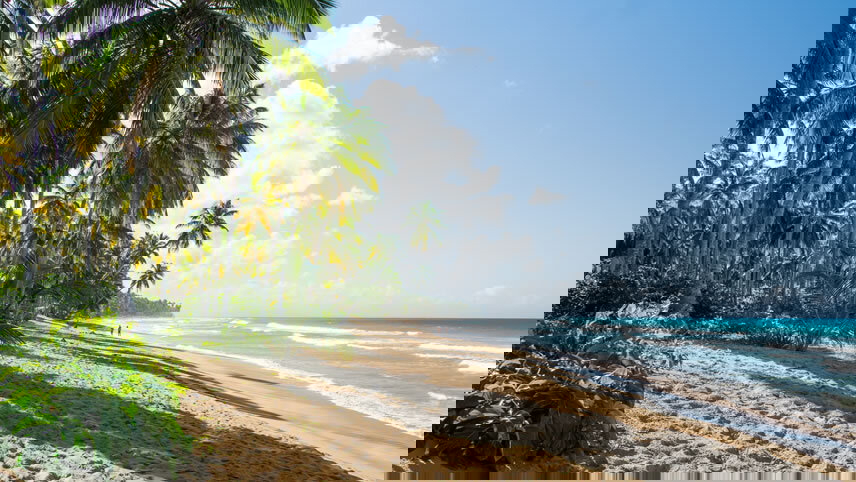 San Juan to Miami: Dominican Daze