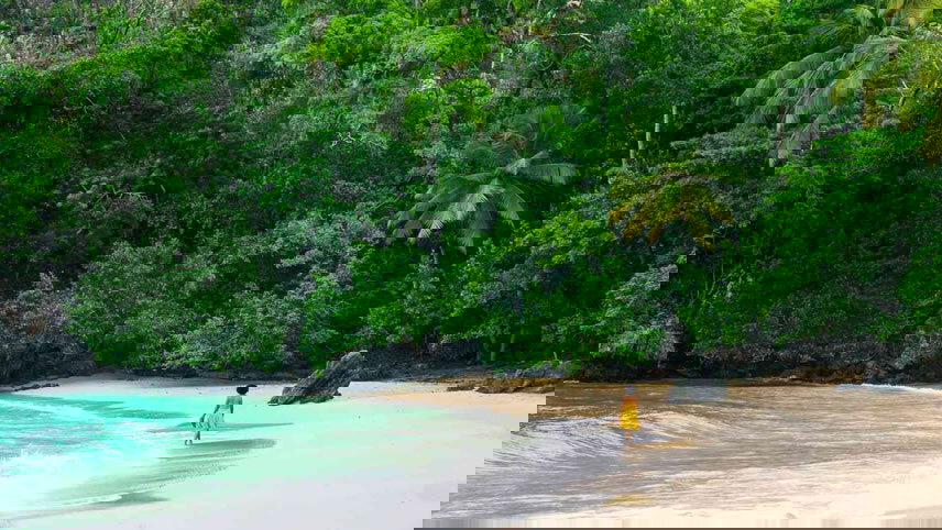 Perfect Day Cococay & East Carib