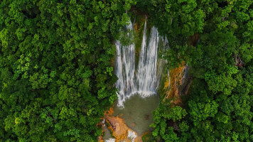 8 Day South Caribbean (MSC Cruises)