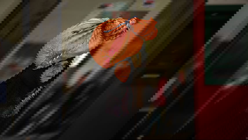 Egypt, Greece & Italy Cruise: Alexandria, Crete & Salerno