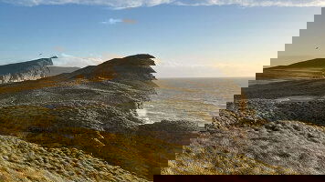 22 Day Puerto Williams to Cape Town (Silversea)