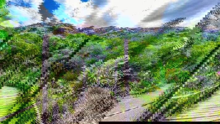 Fiji Cruises - 2025-2027 Seasons