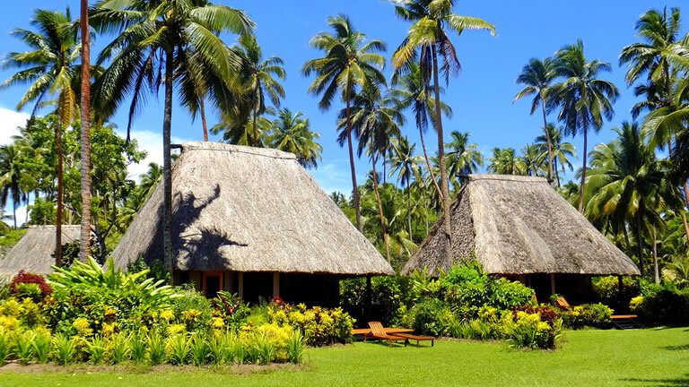South Pacific Seafarer