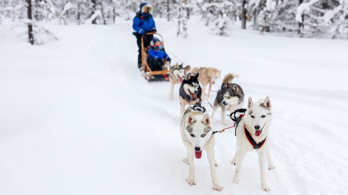 8 Day Northern Lights and Lapland with APT