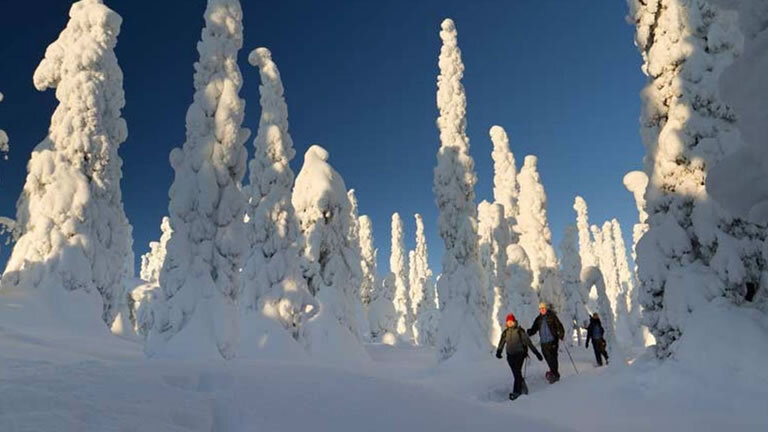 Snowshoeing in Finland