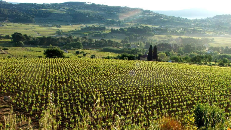 Mediterranean Rivieras: Rome to Barcelona