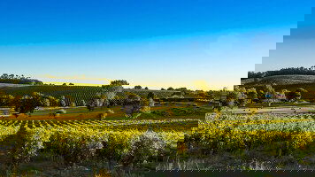Bordeaux River Cruises