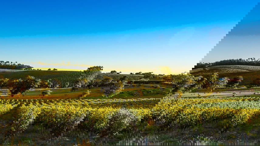 Landscapes and Islands of the North Atlantic