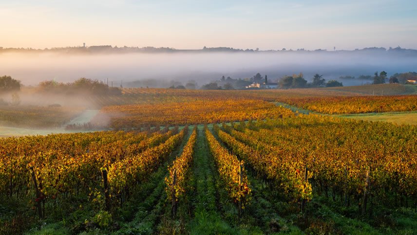 Bonjour Bordeaux: Chateaux, Wineries & Charming Villages
