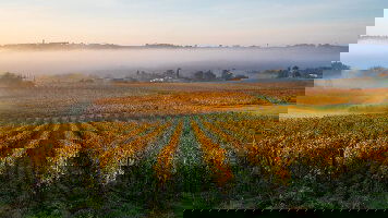 Bordeaux River Cruises River Cruises