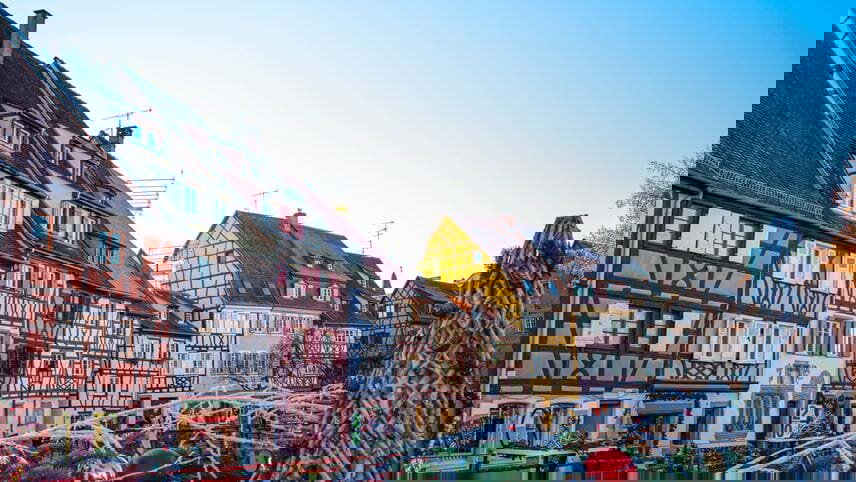 Swiss Delight (Winter)