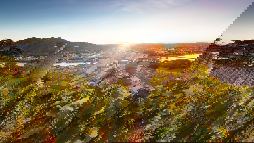 Colors of Provence (Christmas)