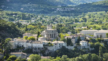 8 Day Idyllic Rhône (Scenic)
