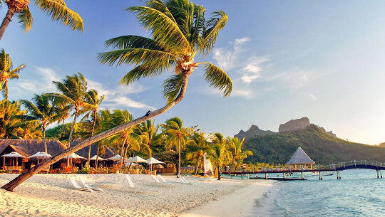 Switch to Island Time