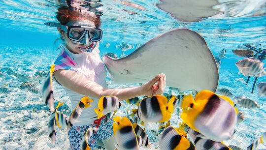 Explore Bora Bora Lagoon