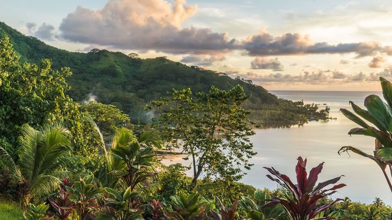 Polynesia To Melanesia: Island Cultures & Coral Gardens