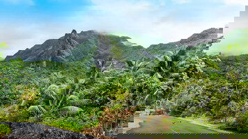 55 Day South Pacific, Australia & New Zealand (Princess)