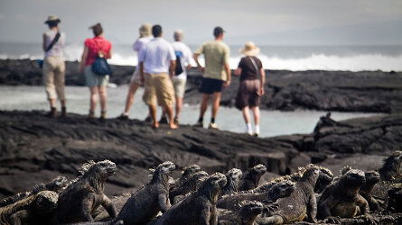 7 Day Galapagos Explorer: Southern Islands (Grand Queen Beatriz) (Intrepid Travel)