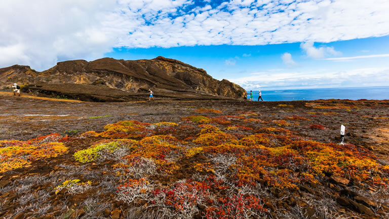Galápagos Islands – Iconic Wildlife & Sublime Scenery Plus Machu Picchu