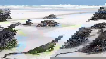 7 Day Galápagos Islands – Iconic Wildlife & Sublime Scenery (Western Route) (HX Expeditions)