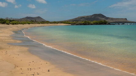 8 Day Galapagos Outer Loop Cruise (Celebrity Cruises)