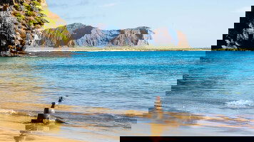 23 Day South American Discovery with Galápagos Cruise (Globus)