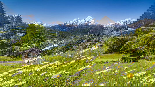 Germany Tours Tours)