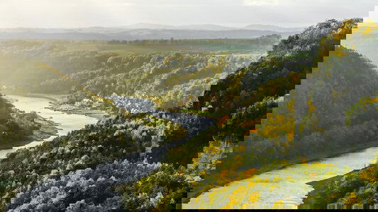 Elbe River River Cruises)