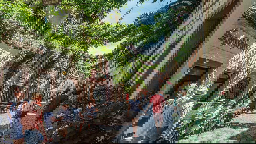 Tulips and the Rhine & Copenhagen