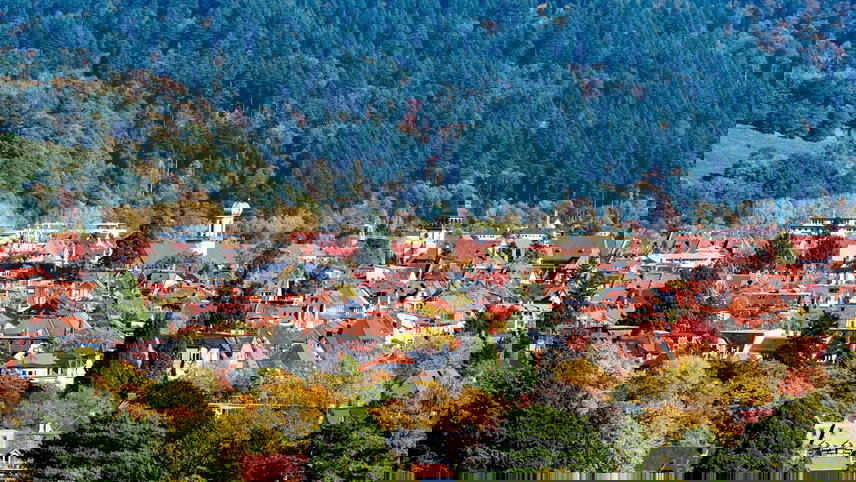 Early Season on the Rhine