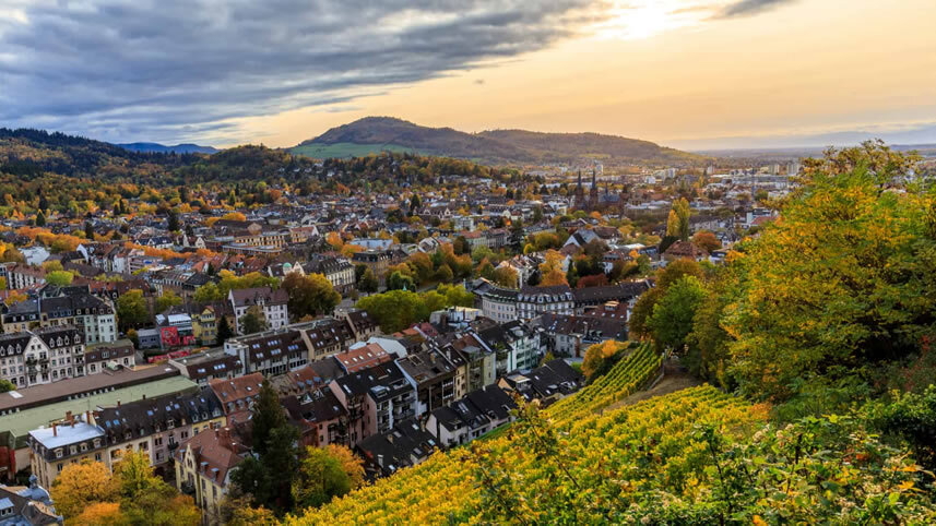 Rhine Christmas Markets with Bruges