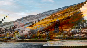 22 Day Vineyards, Chateaux & Bordeaux (Avalon)