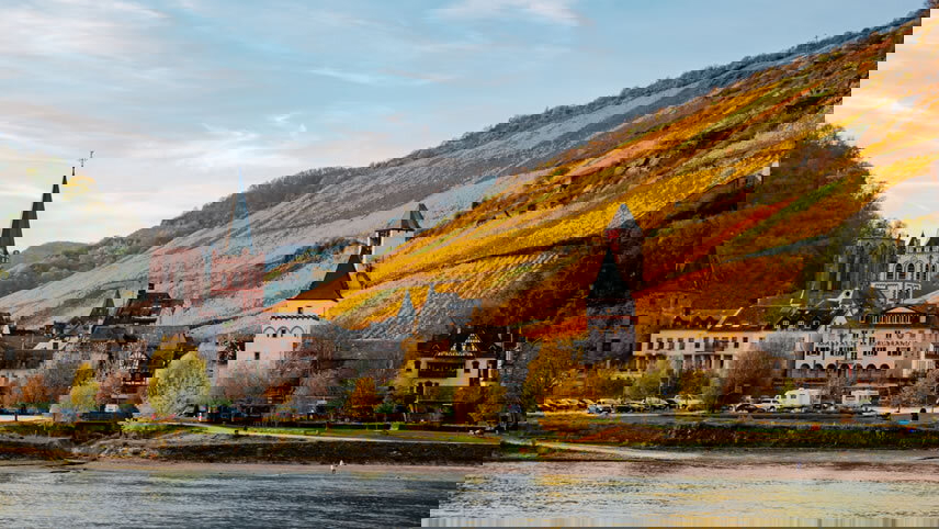 Vineyards, Chateaux & Bordeaux