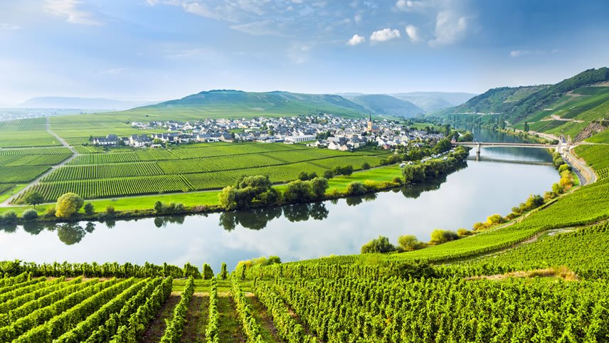 Discover the Vineyards of the Rhine & Moselle