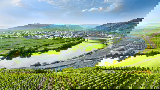 Moselle River River Cruises)